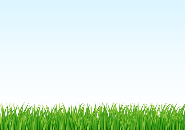 grass and sky background. vector - Vector, imagen