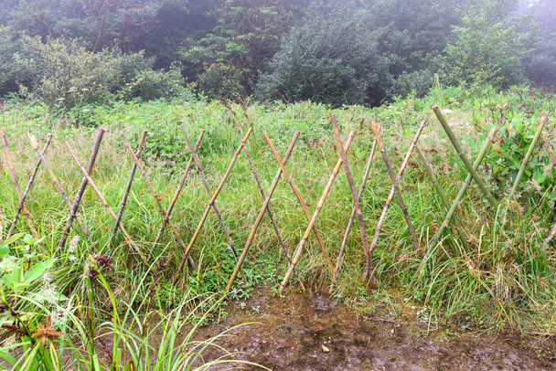 Bambusz kerítés védeni behatárolt terület-tanösvény. - Fotó, kép