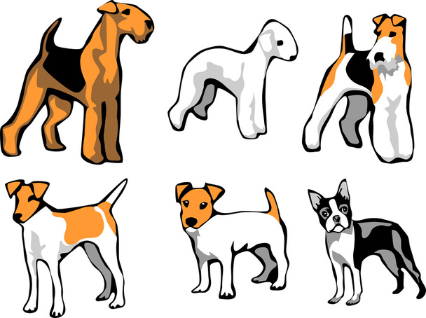 Породы собак - терьеры
 - Вектор,изображение