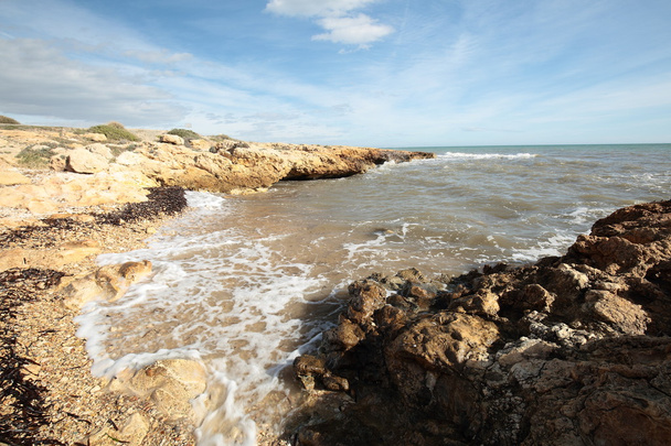 playa de roca en Santa Pola
 - Foto, Imagen