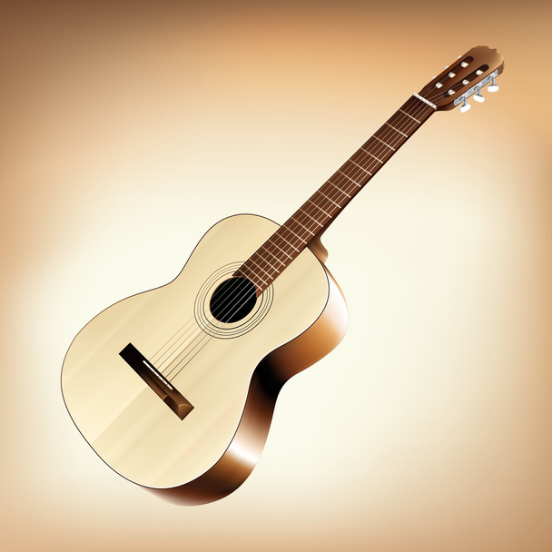 Classic acoustic guitar - Vektori, kuva