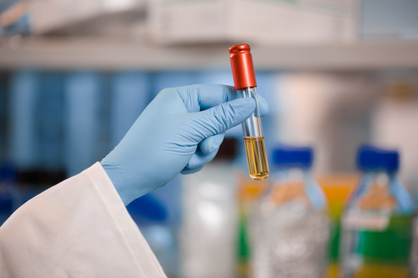 Scientist holding red vial or test tube - Photo, Image