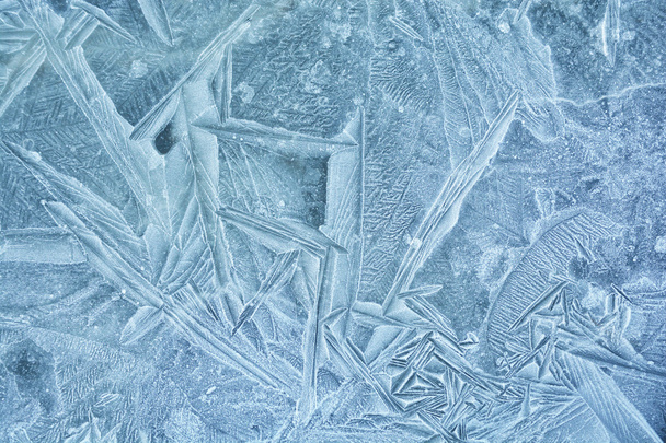 icebound Arte Macro
 - Foto, Imagen