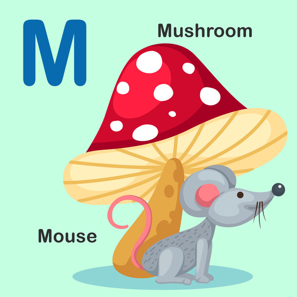 Illustratie geïsoleerd dierlijke alfabet Letter M-Mouse, Mushroom - Vector, afbeelding