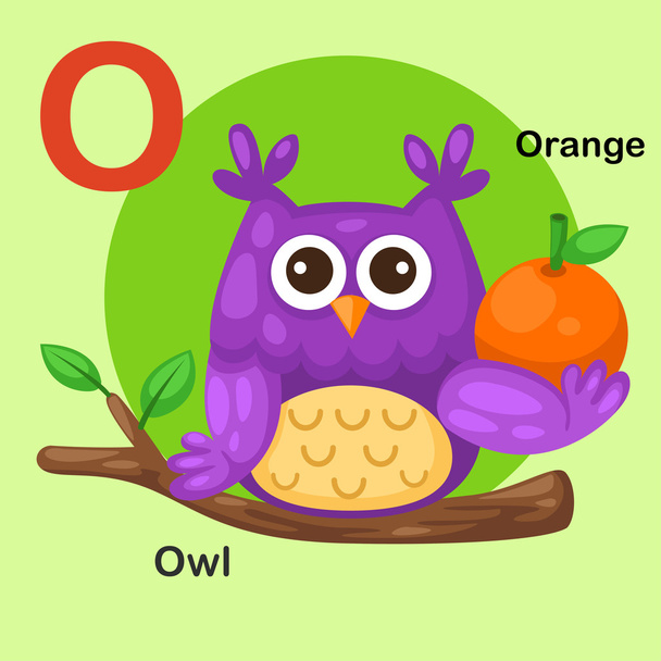 Illustration Isolated Animal Alphabet Letter O-Owl,Orange - Vector, Imagen