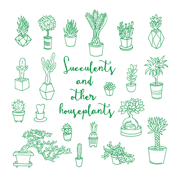 Succulents and other houseplants - Вектор, зображення