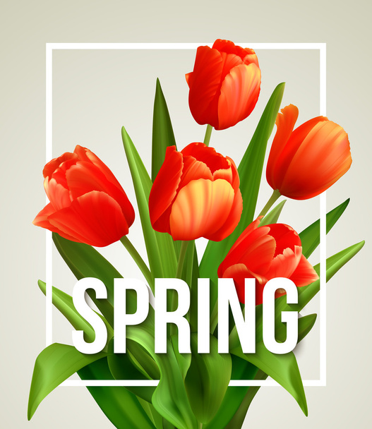 Spring text with  tulip flower. Vector illustration - Vector, imagen