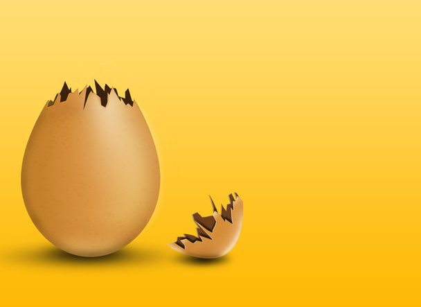törött tojás - Fotó, kép