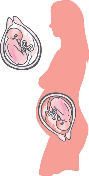 妊娠中の女性と赤ちゃん - ベクター画像