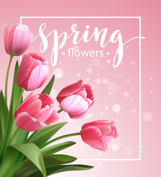 Spring text with  tulip flower. Vector illustration - Vector, afbeelding