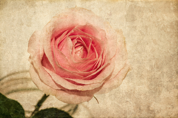 Kartkę z życzeniami z kwitnących róż - Zdjęcie, obraz