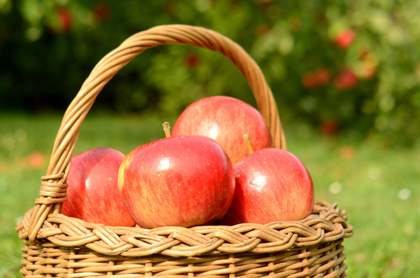 Close-up detail of wicker basket full of red apples - Foto, imagen