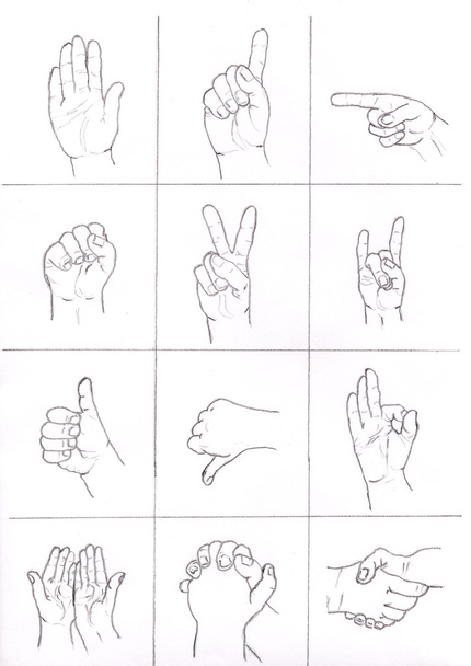 Human Hand collection different hands - Фото, зображення