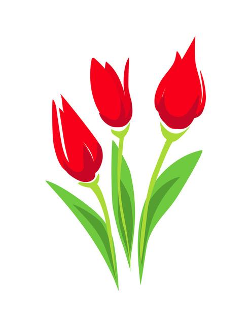 Tulip stylized vector illustration. isolated symbol - Διάνυσμα, εικόνα
