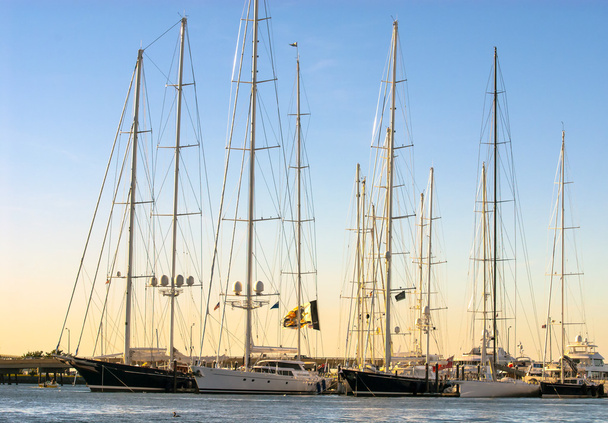 Pitkät purjehdusalukset Newportissa auringon laskiessa
 - Valokuva, kuva