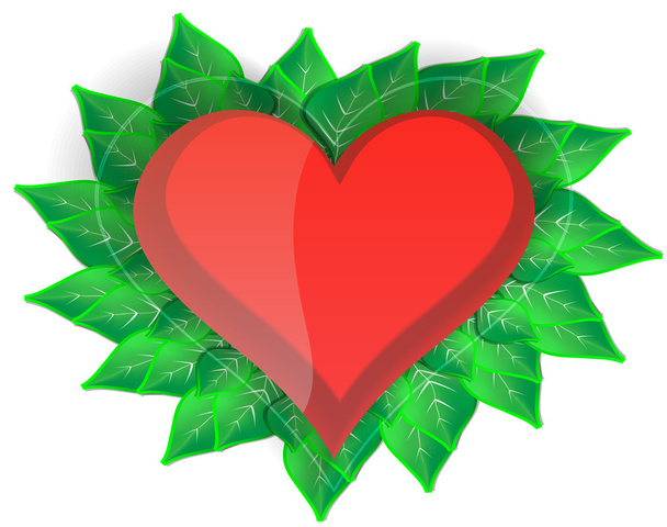 Heart with green leaves - Vetor, Imagem