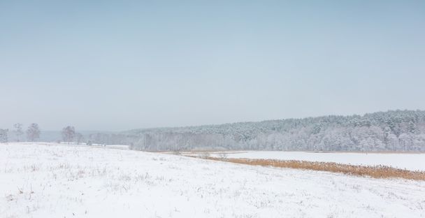 Campo de inverno sob céu cinza nublado
 - Foto, Imagem