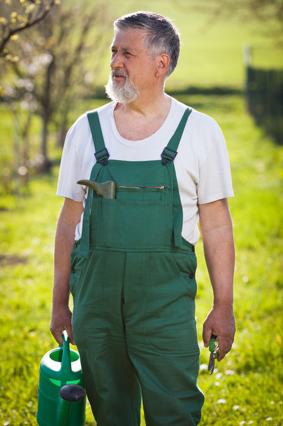 Portrait of a senior gardener in his garden/orchard - Photo, image