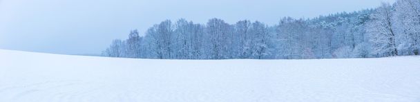 Campo de invierno bajo cielo gris nublado
 - Foto, Imagen