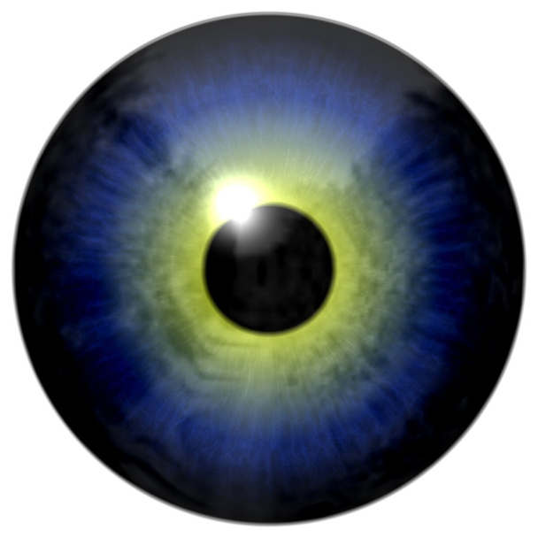 Абстрактный синий и желтый глаза изолированы на белом
 - Фото, изображение