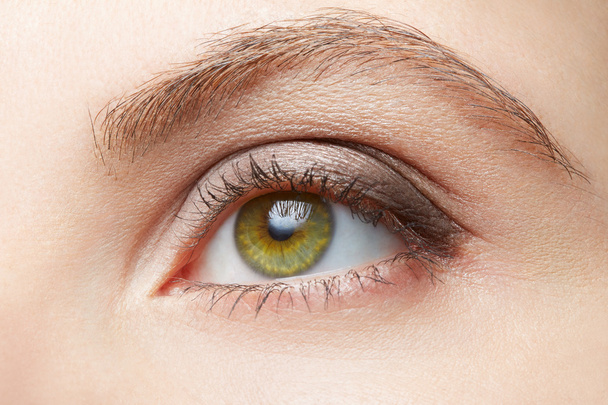 Зеленая женщина глаз красота с светло-коричневым макияжем, обнаженные цвета
 - Фото, изображение