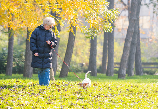 Old woman with a dog  - Foto, Bild