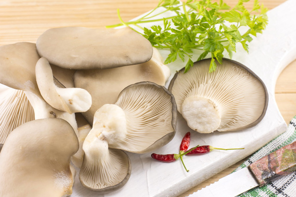 Bando de cogumelos de ostra em uma bandeja
 - Foto, Imagem