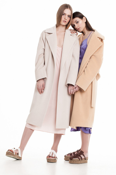 two models in fur coats posing - Foto, Imagem