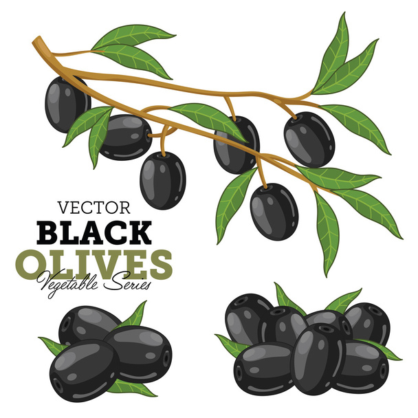 Olives with leaves, Vector - Вектор,изображение