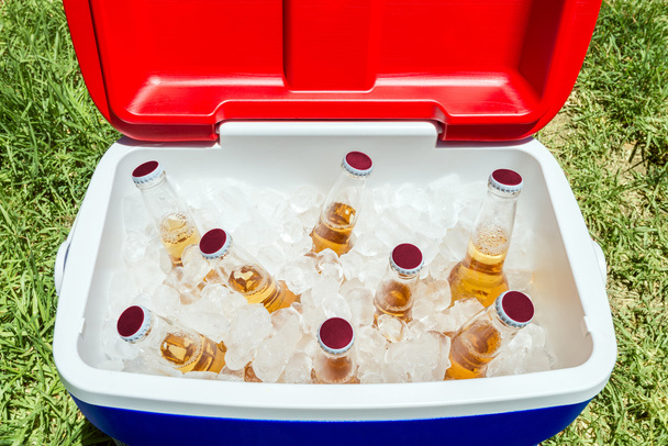 Бутылки пива в прохладной коробке со льдом
 - Фото, изображение