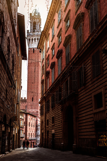Siena w Toskanii, Włochy - Zdjęcie, obraz