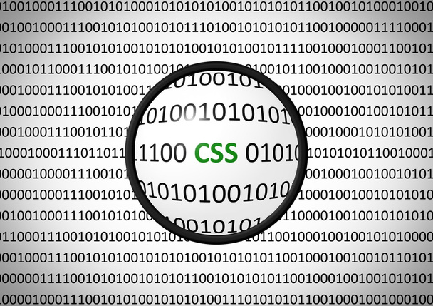 Binaire code met Css en vergrootglas - Foto, afbeelding