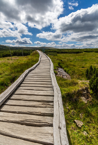 Wooden walkway in the national park Krkonose - 写真・画像