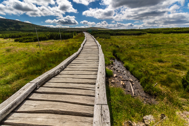 Wooden walkway in the national park Krkonose - 写真・画像
