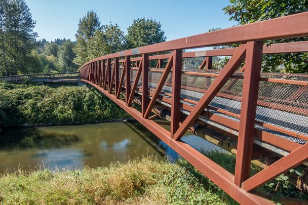 Puente del río verde de caminar 2 - Foto, Imagen