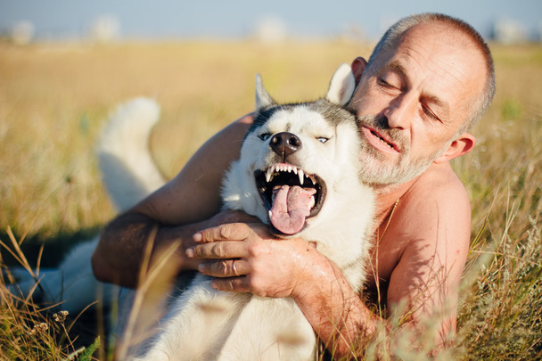 Vieil homme joue avec son chien Husky sibérien
. - Photo, image