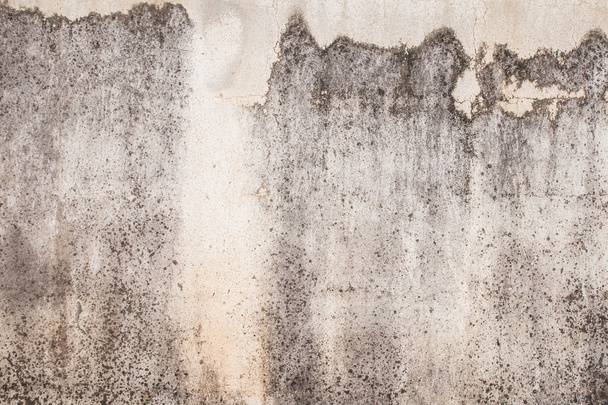 Hi res grunge textures and backgrounds - 写真・画像