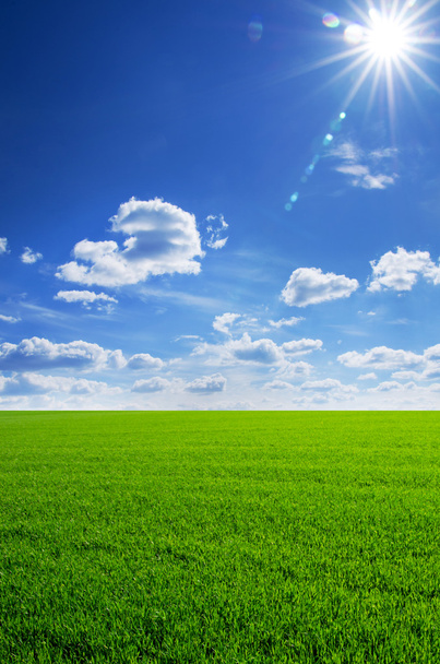 campo verde e cielo blu - Foto, immagini