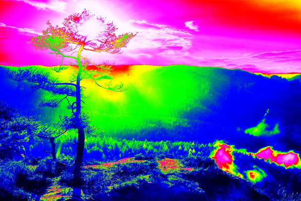 Balayage infrarouge, panorama brumeux du paysage. Fantastique lever de soleil de rêve sur les montagnes rocheuses avec vue sur la vallée
  - Photo, image