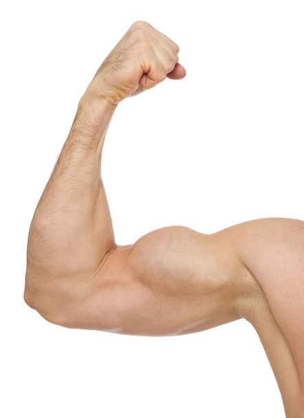 Biceps on white - Photo, Image