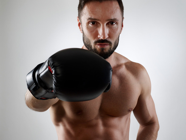 Boxer in grau - Foto, Bild