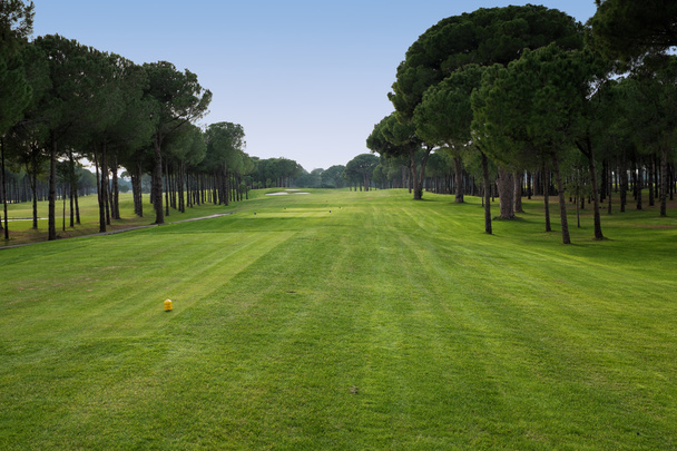 грати в гольф на полі для гольфу
 - Фото, зображення