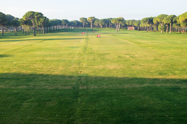 играть в гольф на поле для гольфа
 - Фото, изображение