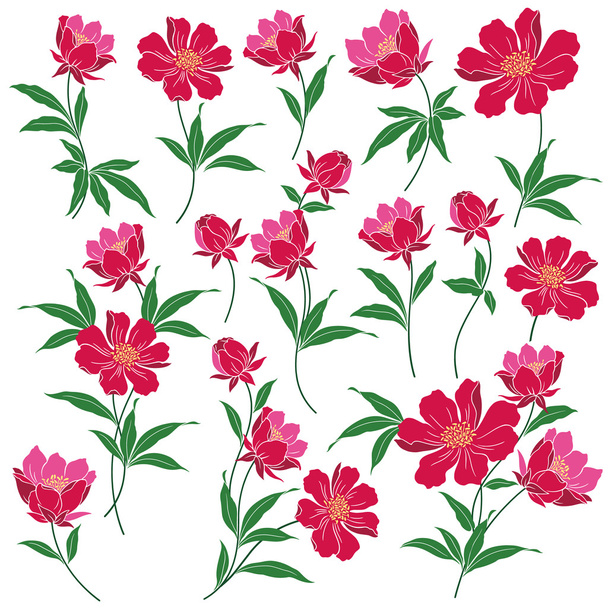 Objeto de ilustração floral
 - Vetor, Imagem
