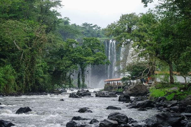 Cachoeira Salto de Eyipantla, San Andres Tuxtla (México
) - Foto, Imagem