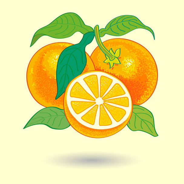 πορτοκάλια με φύλλα - Διάνυσμα, εικόνα