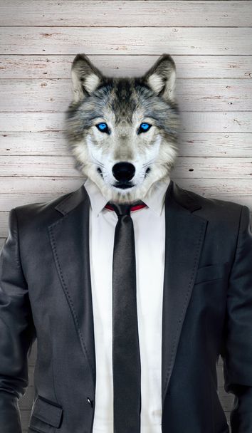 Wolf in black suit - Photo, Image