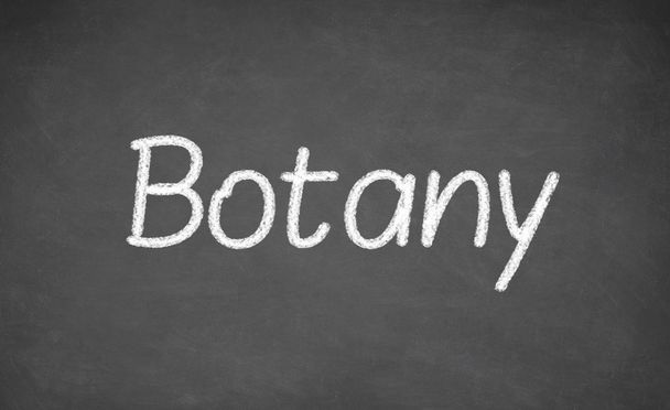 Botany lesson on blackboard or chalkboard. - Foto, Bild