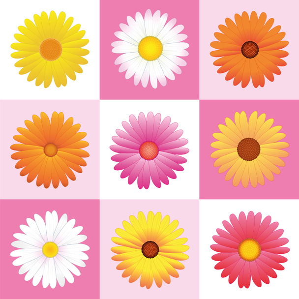 Bloemen madeliefjes roze patroon achtergrond - Vector, afbeelding