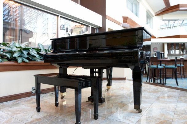 Grand piano ve velké místnosti - Fotografie, Obrázek
